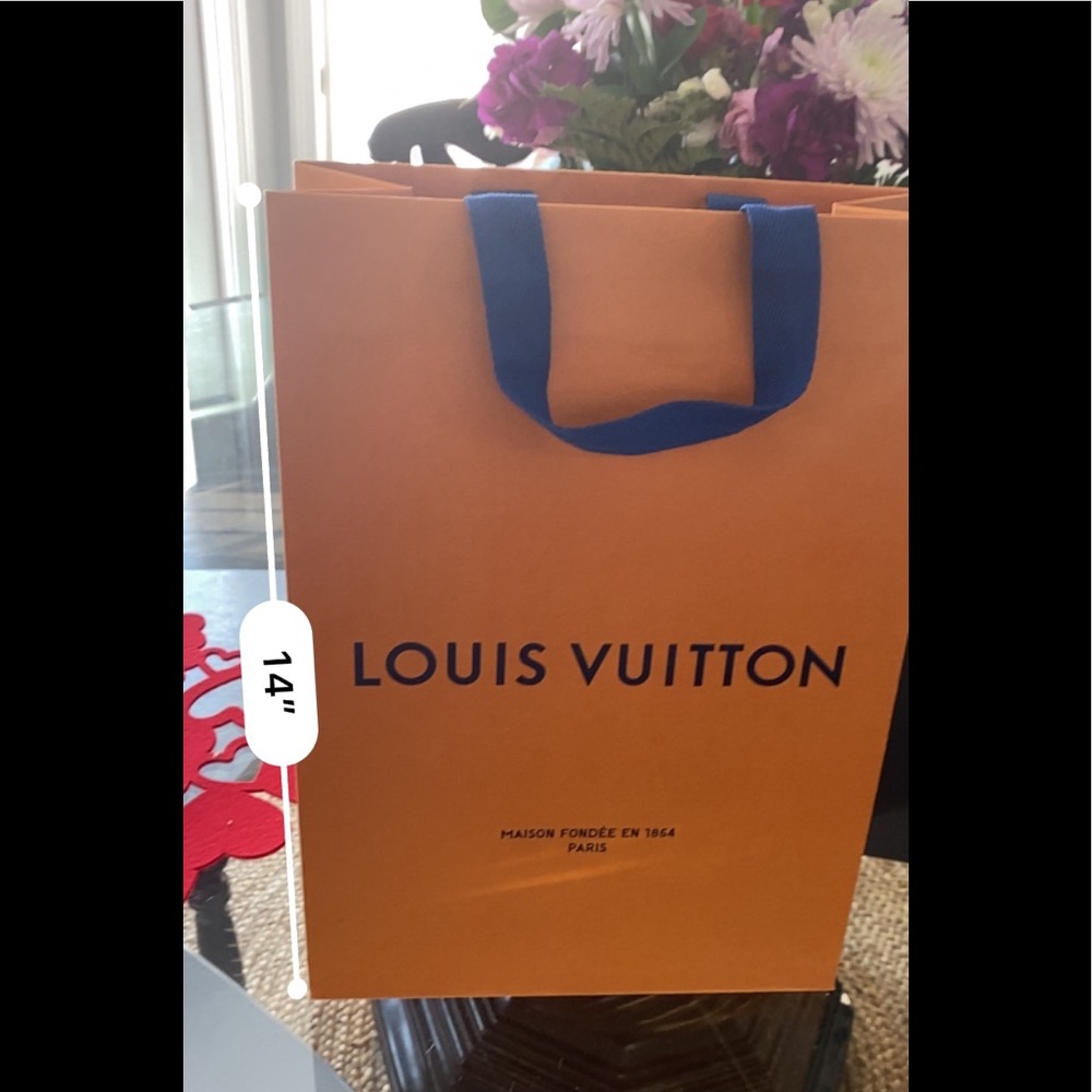bag from Louis Vuitton
